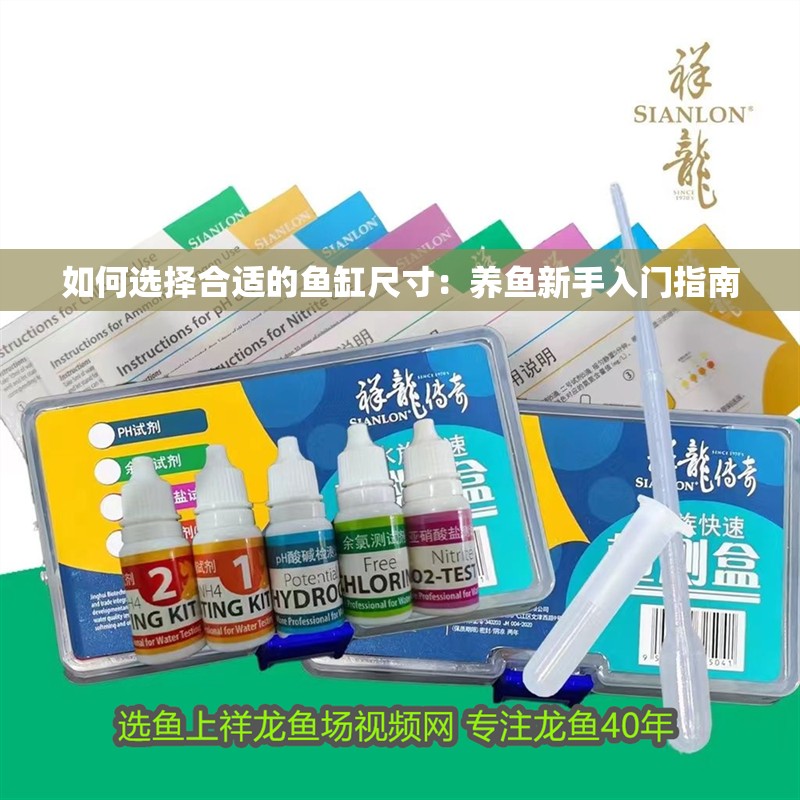 如何選擇合適的魚缸尺寸：養(yǎng)魚新手入門指南