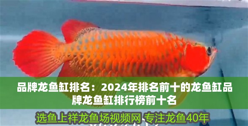 品牌龍魚缸排名：2024年排名前十的龍魚缸品牌龍魚缸排行榜前十名