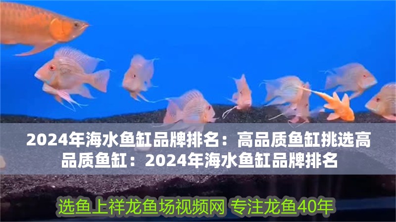 2024年海水魚缸品牌排名：高品質(zhì)魚缸挑選高品質(zhì)魚缸：2024年海水魚缸品牌排名