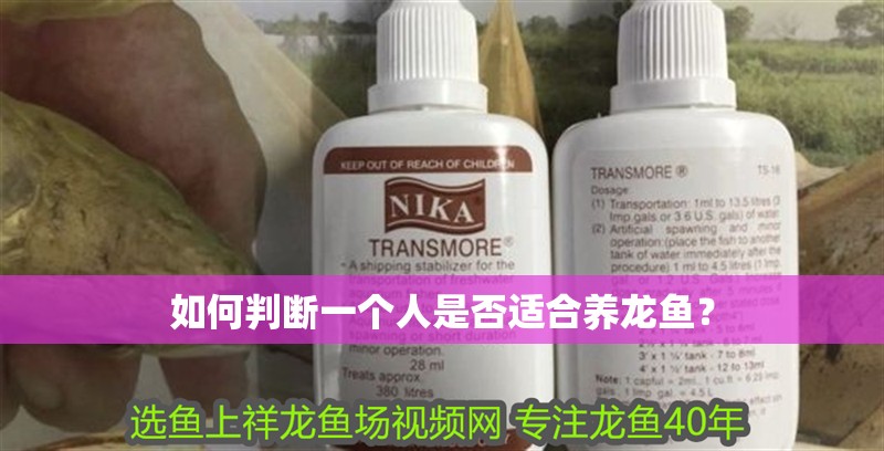 如何判斷一個(gè)人是否適合養(yǎng)龍魚？