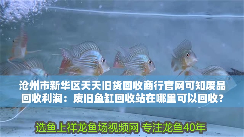 滄州市新華區天天舊貨回收商行官網可知廢品回收利潤：廢舊魚缸回收站在哪里可以回收？