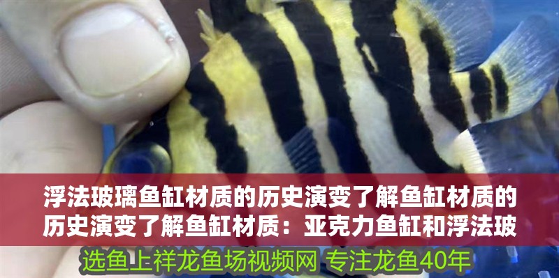 浮法玻璃魚缸材質的歷史演變了解魚缸材質的歷史演變了解魚缸材質：亞克力魚缸和浮法玻璃魚缸的區別