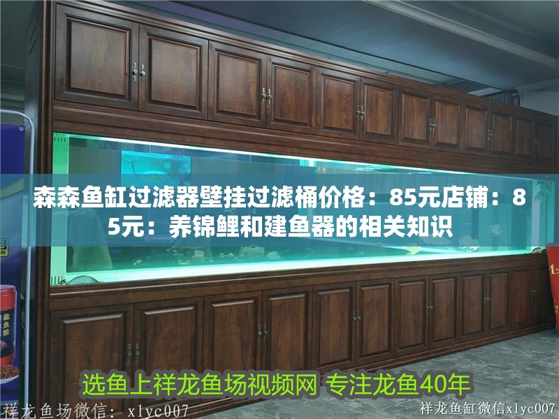 森森魚缸過濾器壁掛過濾桶價格：85元店鋪：85元：養錦鯉和建魚器的相關知識