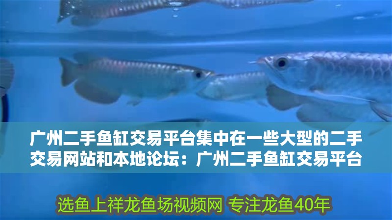 廣州二手魚缸交易平臺集中在一些大型的二手交易網站和本地論壇：廣州二手魚缸交易平臺主要集中在一些大型二手交易網站和本地論壇