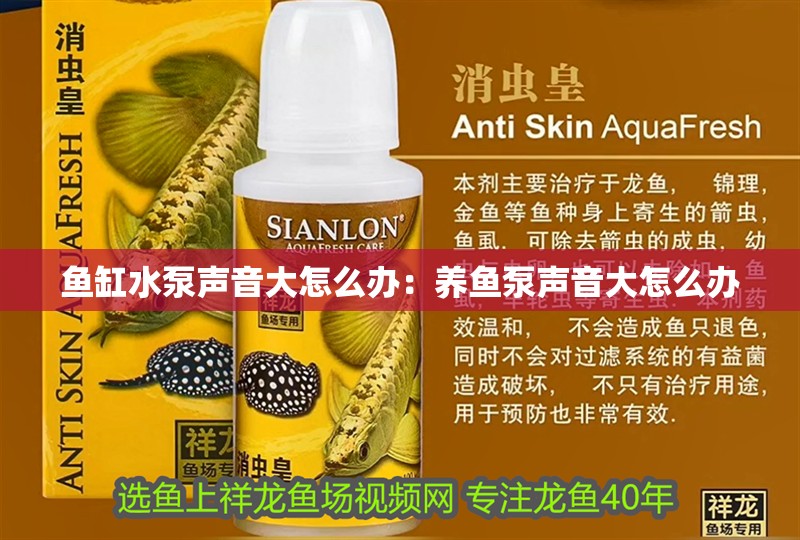 魚缸水泵聲音大怎么辦：養魚泵聲音大怎么辦