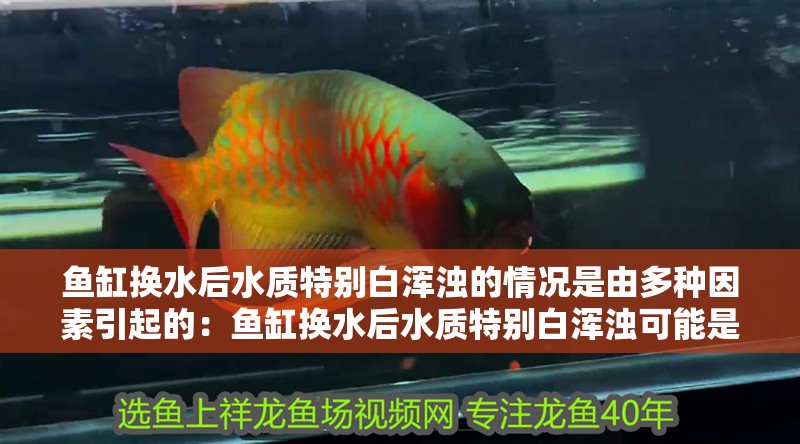魚缸換水后水質特別白渾濁的情況是由多種因素引起的：魚缸換水后水質特別白渾濁可能是由多種因素引起的