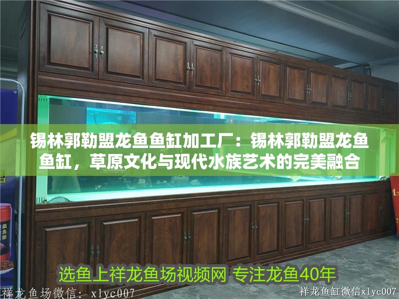 錫林郭勒盟龍魚魚缸加工廠：錫林郭勒盟龍魚魚缸，草原文化與現(xiàn)代水族藝術(shù)的完美融合