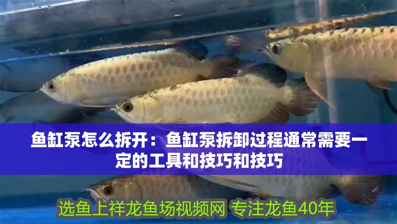 魚缸泵怎么拆開：魚缸泵拆卸過程通常需要一定的工具和技巧和技巧