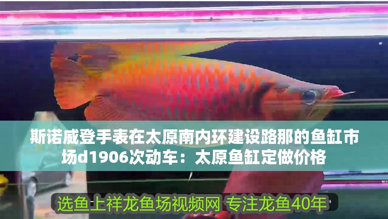 斯諾威登手表在太原南內環建設路那的魚缸市場d1906次動車：太原魚缸定做價格