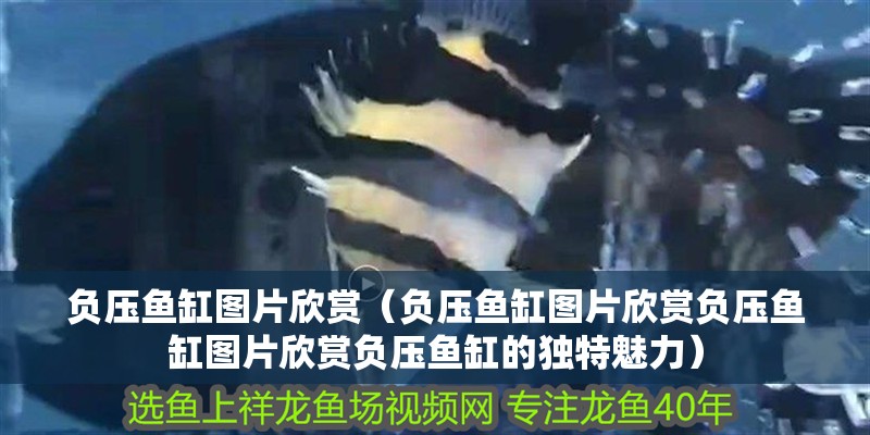 負(fù)壓魚缸圖片欣賞（負(fù)壓魚缸圖片欣賞負(fù)壓魚缸圖片欣賞負(fù)壓魚缸的獨(dú)特魅力）