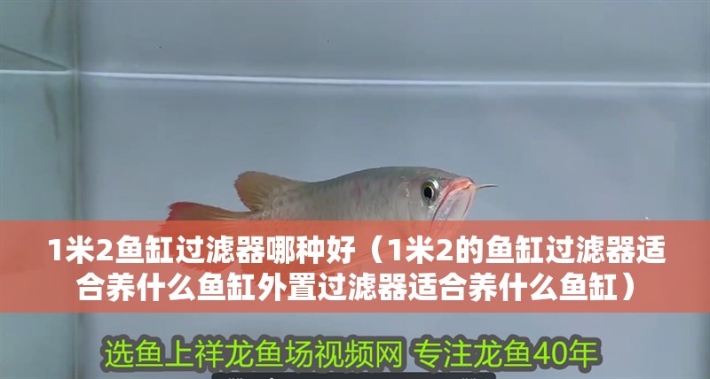 1米2魚缸過濾器哪種好（1米2的魚缸過濾器適合養什么魚缸外置過濾器適合養什么魚缸）