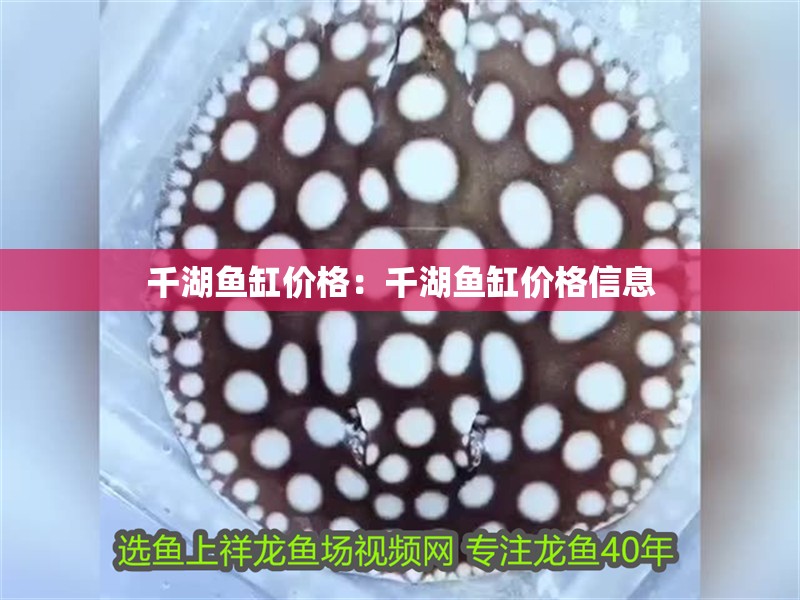 千湖魚缸價(jià)格：千湖魚缸價(jià)格信息