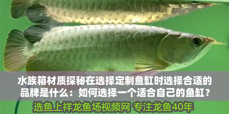 水族箱材質(zhì)探秘在選擇定制魚缸時選擇合適的品牌是什么：如何選擇一個適合自己的魚缸？