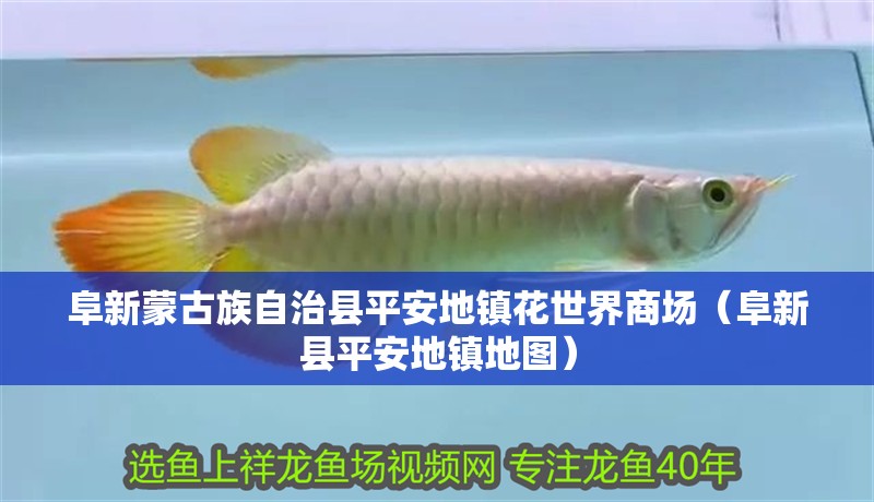 阜新蒙古族自治縣平安地鎮花世界商場（阜新縣平安地鎮地圖）