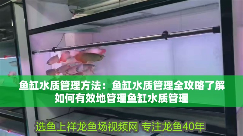 魚缸水質管理方法：魚缸水質管理全攻略了解如何有效地管理魚缸水質管理