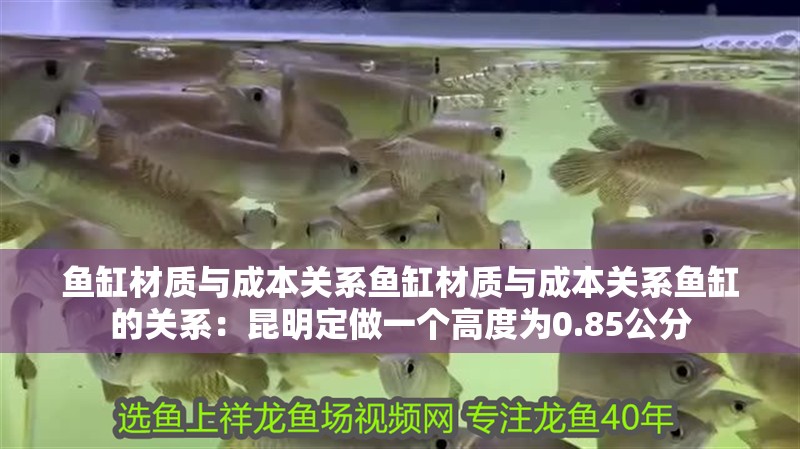 魚缸材質與成本關系魚缸材質與成本關系魚缸的關系：<strong><mark>昆明</mark></strong>定做一個高度為0.85公分