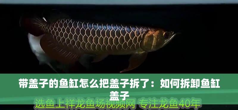帶蓋子的魚缸怎么把蓋子拆了：如何拆卸魚缸蓋子