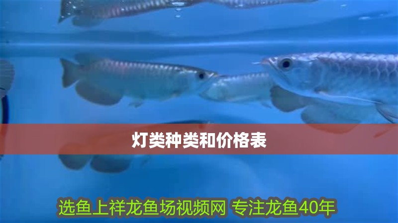 燈類種類和價格表