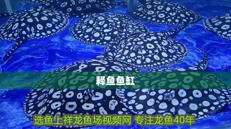 釋魚魚缸