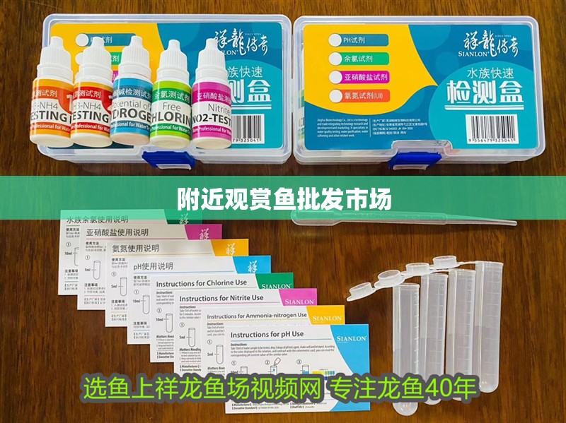 魚缸過濾器選購指南:自制魚缸過濾器魚缸上置過濾器對于養(yǎng)魚愛好者的必備知識 附近觀賞魚批發(fā)市場 龍魚論壇 附近觀賞魚批發(fā)市場 附近觀賞魚批發(fā)市場 龍魚論壇