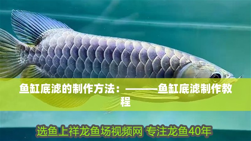 魚缸底濾的制作方法：———魚缸底濾制作教程