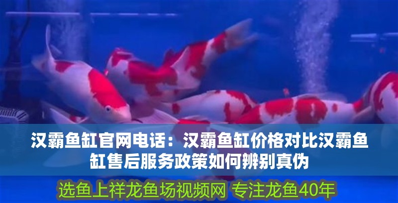 漢霸魚缸官網電話：漢霸魚缸價格對比漢霸魚缸售后服務政策如何辨別真偽