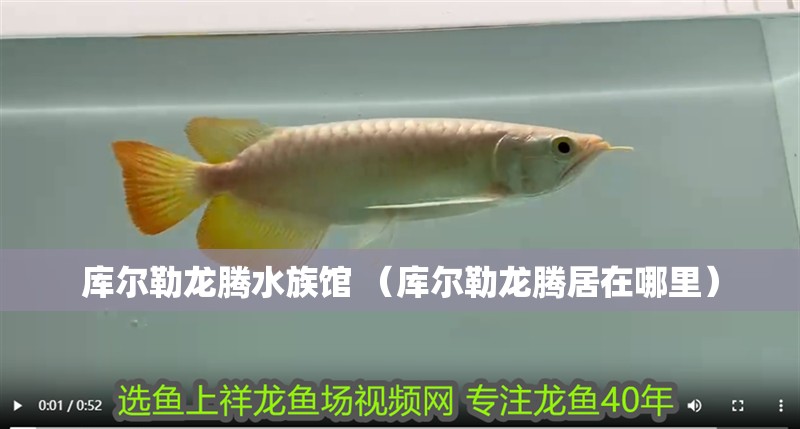 庫爾勒龍騰水族館 （庫爾勒龍騰居在哪里）