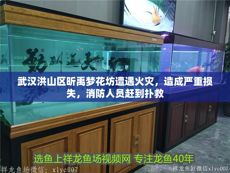 武漢洪山區昕禹夢花坊遭遇火災，造成嚴重損失，消防人員趕到撲救