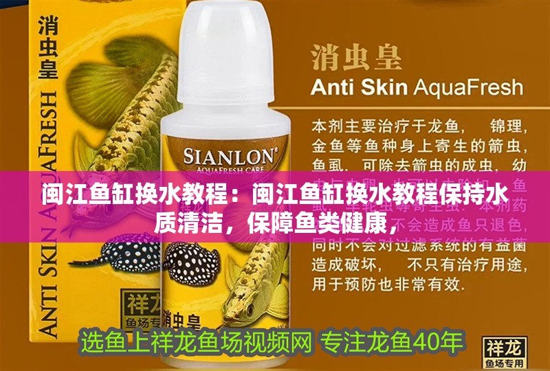 閩江魚(yú)缸換水教程：閩江魚(yú)缸換水教程保持水質(zhì)清潔，保障魚(yú)類(lèi)健康，