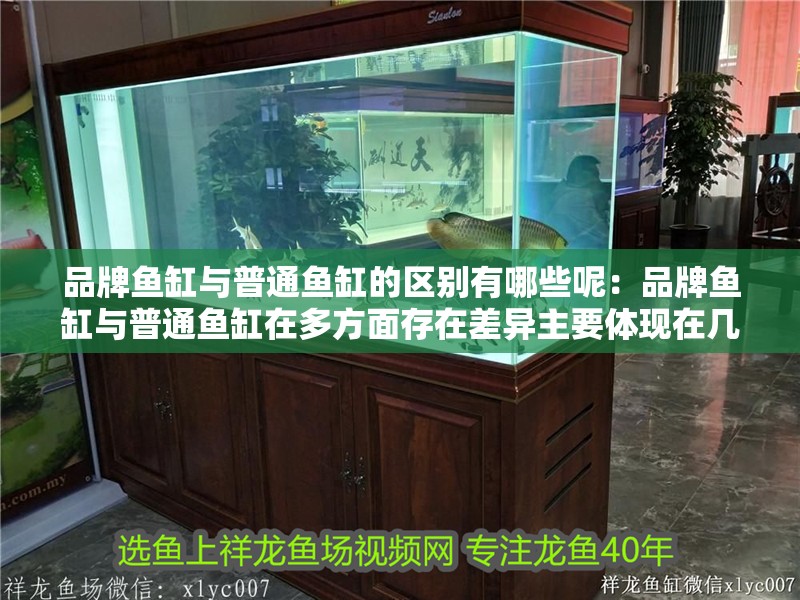 品牌魚缸與普通魚缸的區別有哪些呢：品牌魚缸與普通魚缸在多方面存在差異主要體現在幾個方面