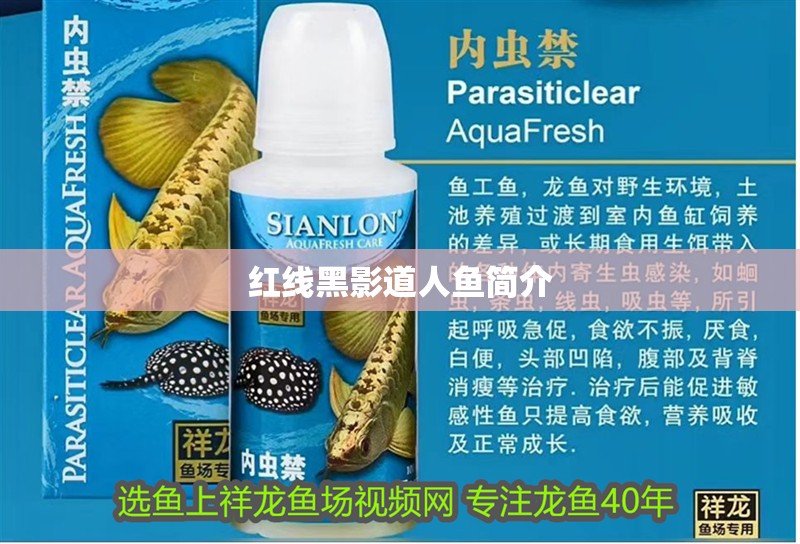 紅線黑影道人魚簡(jiǎn)介