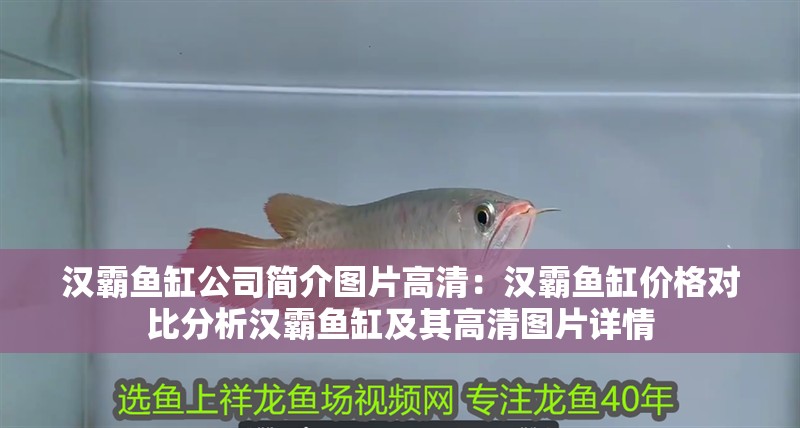 漢霸魚缸公司簡介圖片高清：漢霸魚缸價格對比分析漢霸魚缸及其高清圖片詳情
