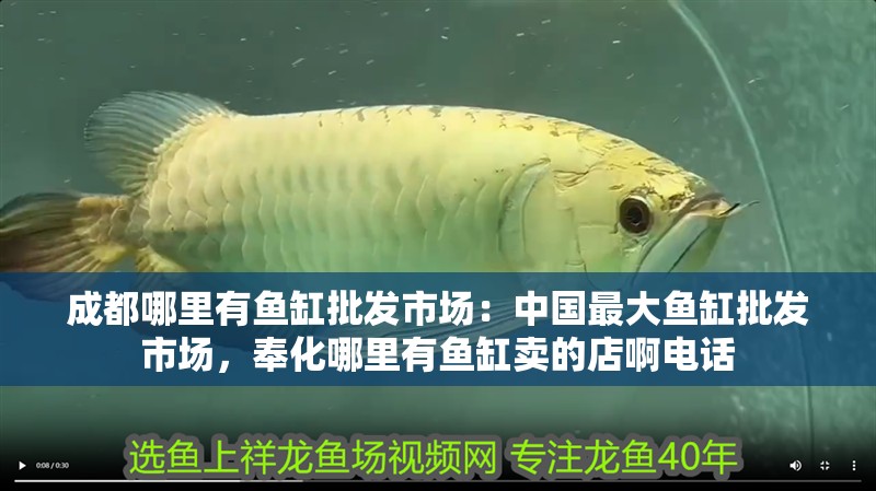 成都哪里有魚缸批發(fā)市場(chǎng)：中國(guó)最大魚缸批發(fā)市場(chǎng)，<strong><mark>奉化</mark></strong>哪里有魚缸賣的店啊電話