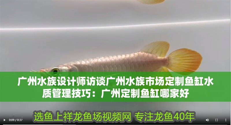 廣州水族設(shè)計(jì)師訪談廣州水族市場(chǎng)定制魚(yú)缸水質(zhì)管理技巧：廣州定制魚(yú)缸哪家好