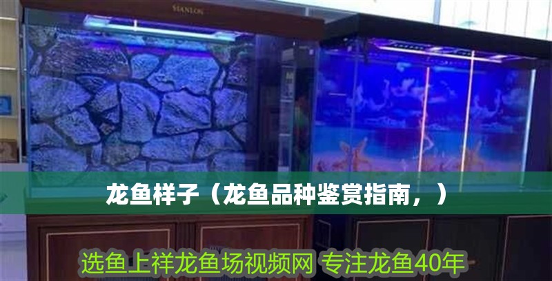 龍魚樣子（龍魚品種鑒賞指南，）
