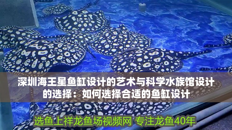 深圳海王星魚缸設(shè)計(jì)的藝術(shù)與科學(xué)水族館設(shè)計(jì)的選擇：如何選擇合適的魚缸設(shè)計(jì)