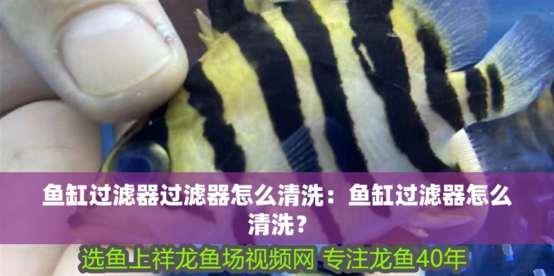 魚缸過濾器過濾器怎么清洗：魚缸過濾器怎么清洗？