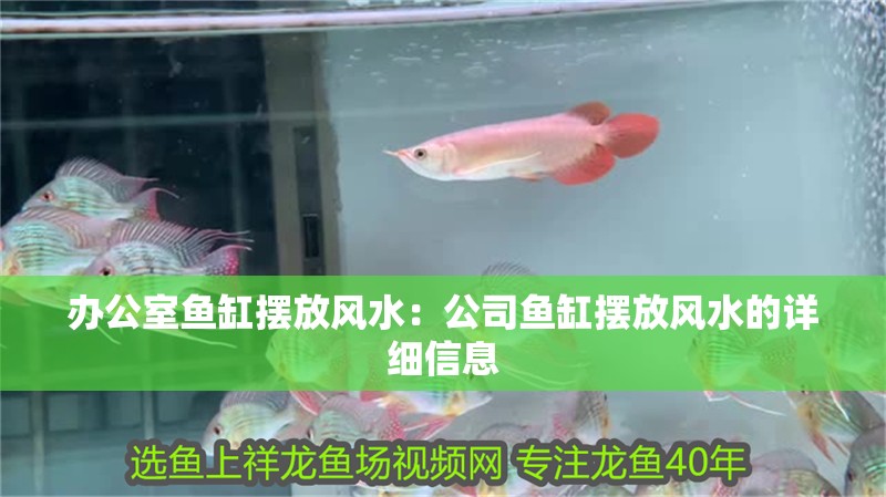 辦公室魚缸擺放風水：公司魚缸擺放風水的詳細信息