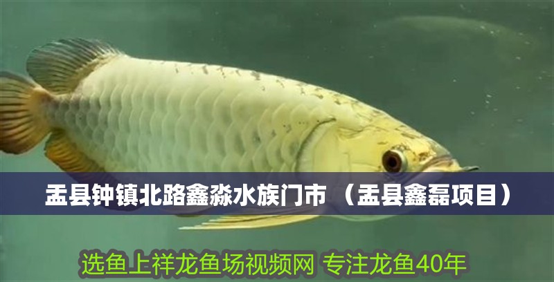 盂縣鐘鎮(zhèn)北路鑫淼水族門市 （盂縣鑫磊項(xiàng)目）