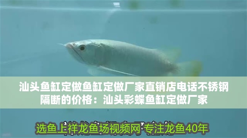 汕頭魚缸定做魚缸定做廠家直銷店電話不銹鋼隔斷的價格：汕頭彩蝶魚缸定做廠家