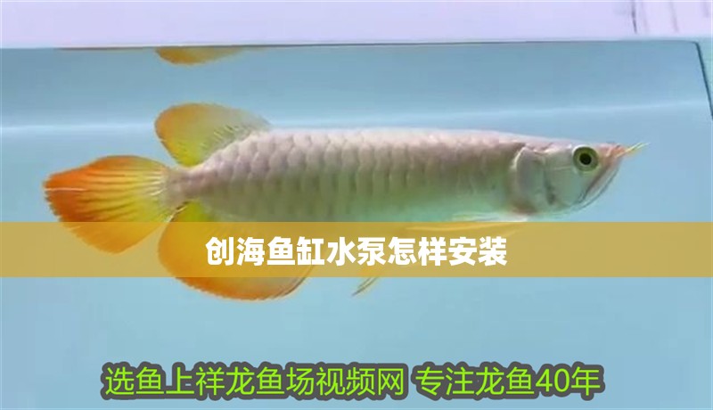 創海魚缸水泵怎樣安裝