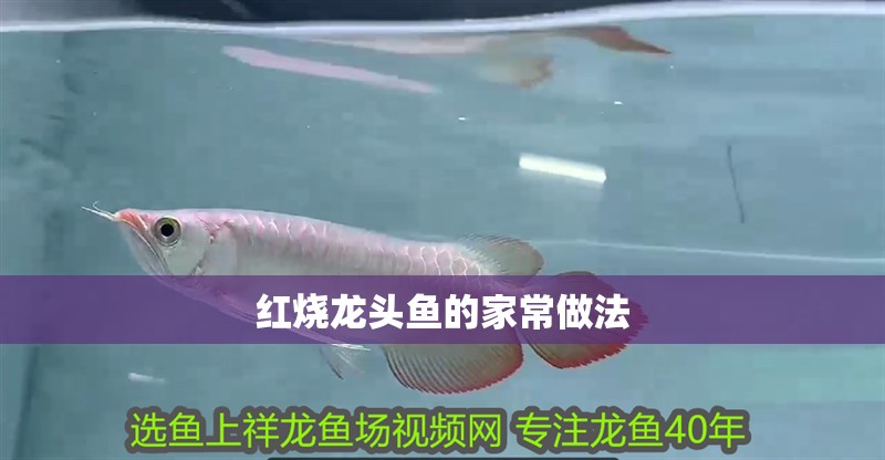 紅燒龍頭魚的家常做法