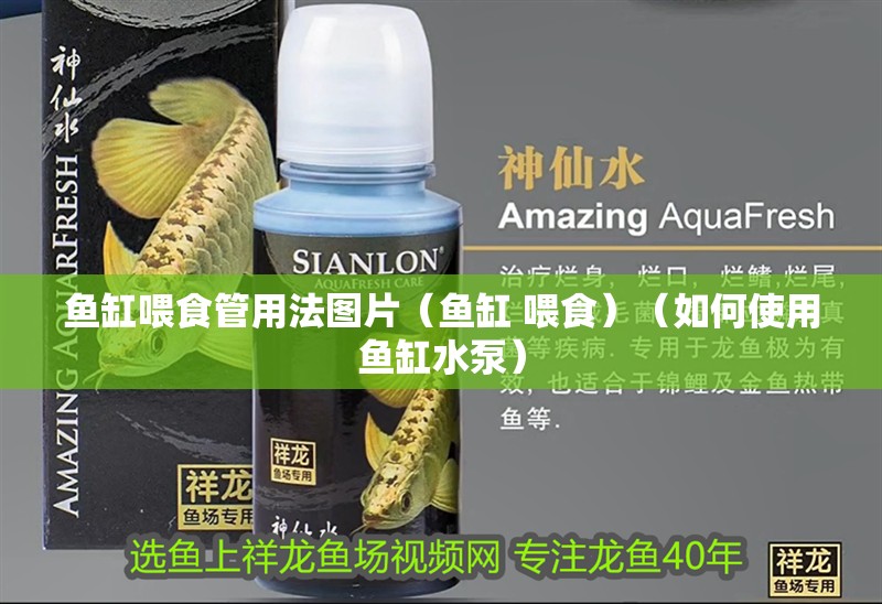 魚(yú)缸喂食管用法圖片（魚(yú)缸 喂食）（如何使用魚(yú)缸水泵）