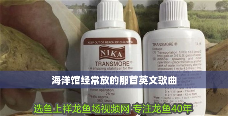 海洋館經(jīng)常放的那首英文歌曲