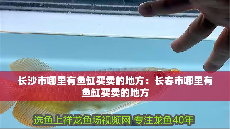 長沙市哪里有魚缸買賣的地方：長春市哪里有魚缸買賣的地方