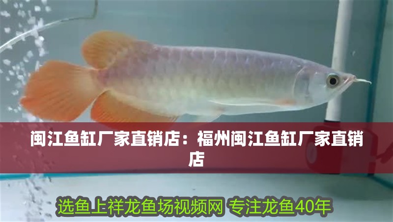 閩江魚缸廠家直銷店：福州閩江魚缸廠家直銷店