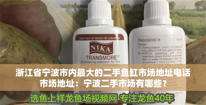 <strong><mark>浙江</mark></strong>省寧波市內最大的二手魚缸市場地址電話市場地址：寧波二手市場有哪些？
