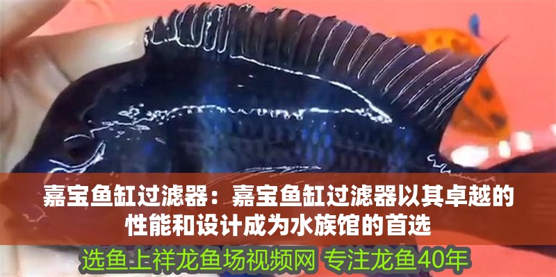 嘉寶魚缸過濾器：嘉寶魚缸過濾器以其卓越的性能和設(shè)計成為水族館的首選