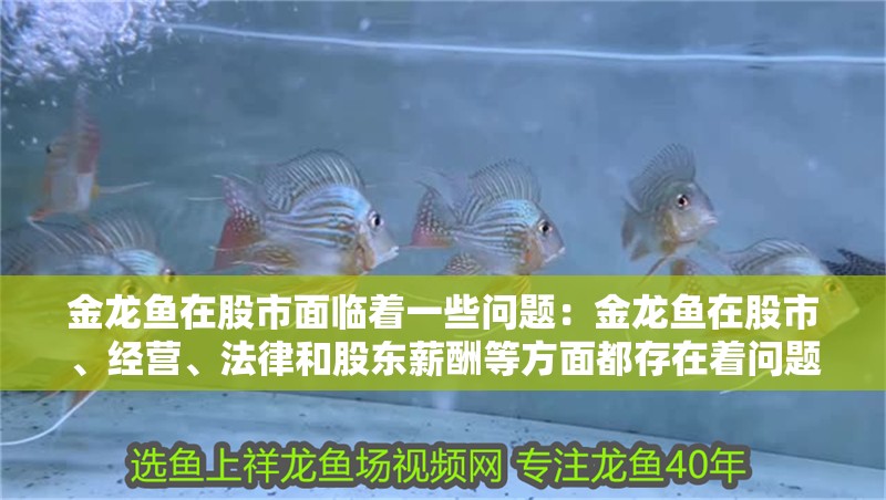 金龍魚在股市面臨著一些問題：金龍魚在股市、經(jīng)營(yíng)、法律和股東薪酬等方面都存在著問題