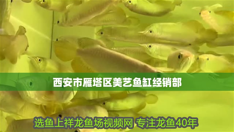 西安市雁塔區美藝魚缸經銷部